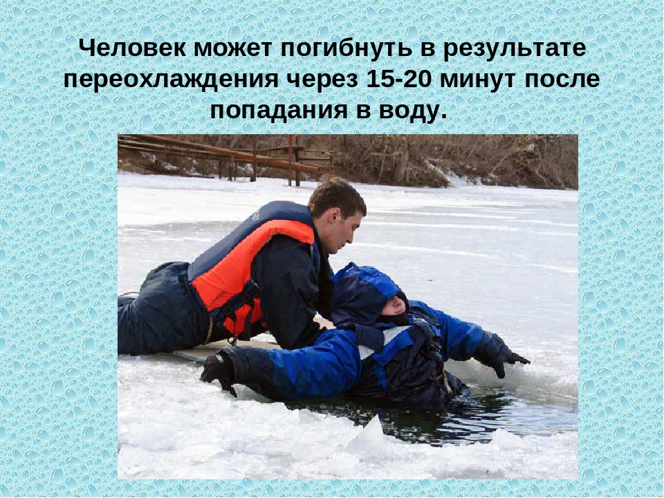 гочс