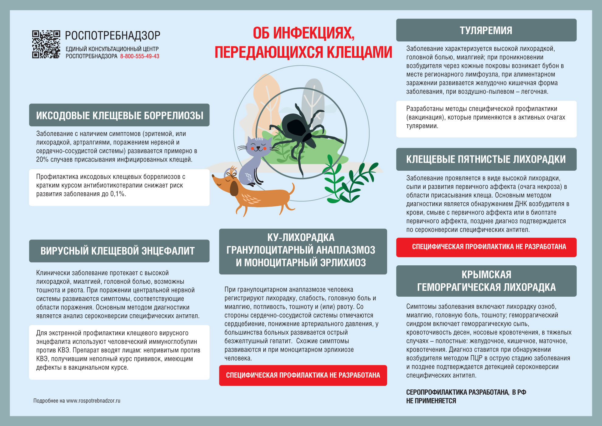 Информационное изображение о клещах