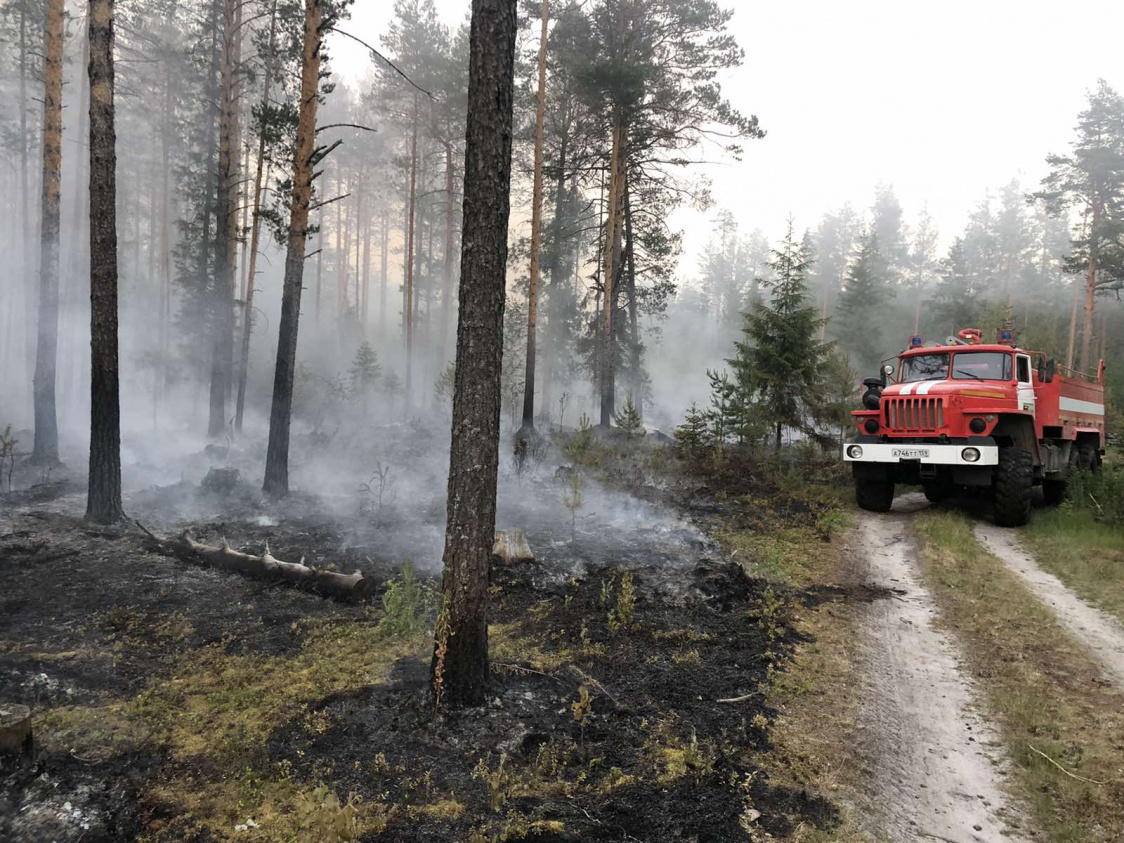 В 2022 году на противопожарную деятельность в Прикамье направят почти в три раза больше средств чем в прошлом
