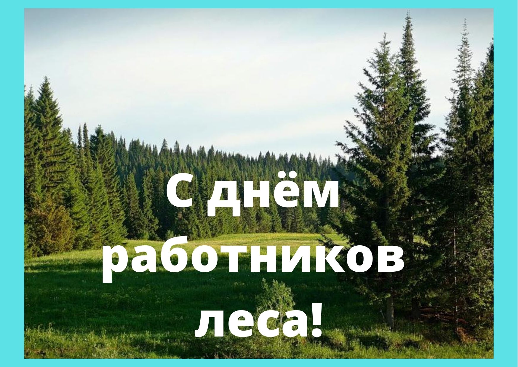 С днём лесника